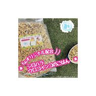 fuu シロハラインコ・ウロコインコのごはん（400g）［145S56］