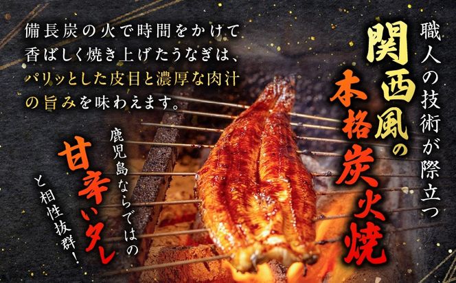 ＜容量選べる＞職人が丁寧に仕上げる本格炭火焼　鹿児島県産うなぎの蒲焼き   K282-001_SKU