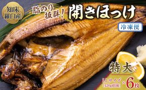 知床羅臼産 特大開きほっけ(6枚) 生産者 支援 応援 016942_AH120