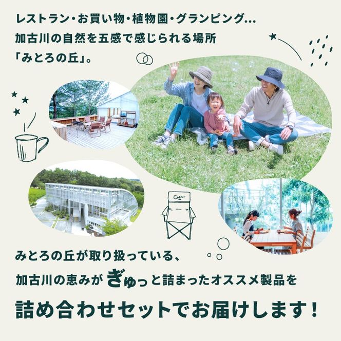 遊んで、食べて、泊まれる！「みとろの丘」加古川の恵みセットA《 いちごジャム 玄米 グラノーラ ピクルス のり 海苔 セット 》【2401I14805】