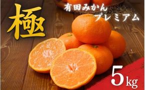 ＼光センサー選別／極 有田みかんプレミアム 5kg【選りすぐりの上位20％をお届け】2S～Mの小玉サイズ 有機質肥料100% ※2024年11月下旬頃～2024年12月下旬頃に順次発送予定 ※北海道・沖縄・離島への配送不可/ミカン 蜜柑 柑橘 フルーツ くだもの 果物 温州 有田 甘い 高級 贈答品 贈り物 新鮮 5kg 12月 【nuk155C】