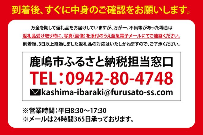 鹿嶋市産アガベ！パリー・ホーチエンシス『ウェイクフィールド』【観葉植物 自然 お庭 インテリア 多肉 アガベ 5号 鉢 ナチュラル 20000円以下】（KCP-8）