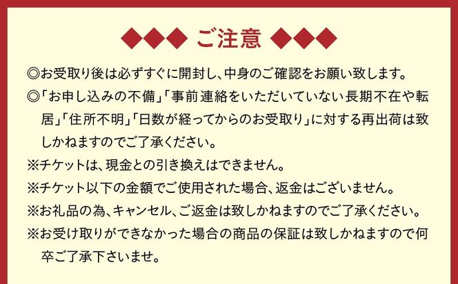 【夜間遊覧飛行】錦江湾ナイトコース セスナ式172型（大人3名まで）　K222-FT004