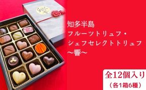 知多半島フルーツトリュフ・シェフセレクトトリュフ 12個　～響～ | 手作り チョコレート トリュフ 詰め合わせ ショコラ チョコ プレゼント バレンタイン ホワイトデー デザート スイーツ ギフト 贈り物 贈答 お祝い 記念日 Chocolate あじさい 愛知県 美浜町※2026年1月中旬～3月中旬頃に順次発送予定