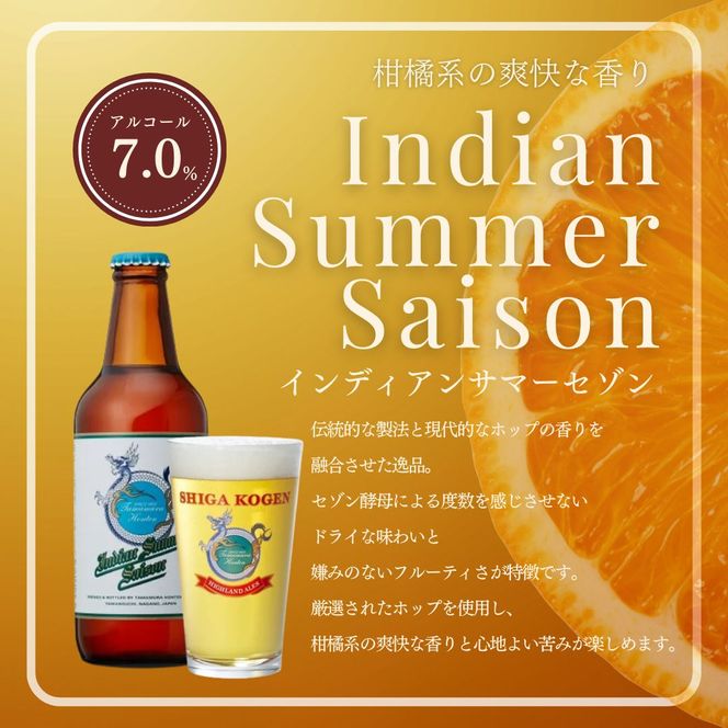 定期便 3ヶ月 志賀高原ビール6本セット 【 クラフトビール 志賀高原ビール 飲み比べセット 玉村本店 ビール 詰め合わせ セット 地ビール 飲み比べ 黒ビール ipa ペールエール 酒 お酒 長野県 長野 定期 お楽しみ 3回 】 