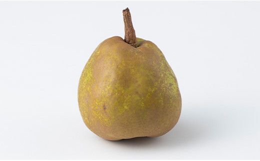 FYN6-430 《2026年先行予約》ご家庭用 山形県産西洋梨 ラ･フランス5kg 2026年11月中旬から順次発送 洋梨 洋なし ラフランス 秋果実 果物 くだもの フルーツ 訳あり 農業者 農家 支援 自宅 家庭 産地直送 山形県 西川町 月山