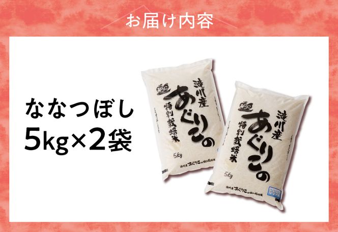 《令和7年産》特別栽培米ななつぼし 10kg | 16年連続特A ブランド米 白米 精米 米 お米 こめ 減農薬 単一原料米 ご飯 贈答 ギフト 北海道米 北海道 滝川市