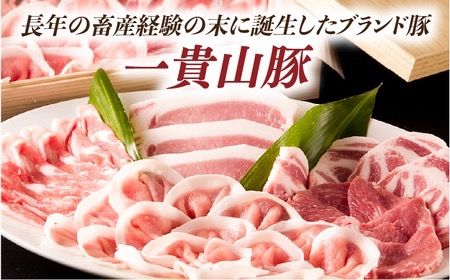 【全6回定期便】一貴山 豚しゃぶ セット糸島市 / いきさん牧場 /鍋 しゃぶしゃぶ 豚しゃぶ 肩ロース ロース つくね バラ 豚バラ [AGB008]