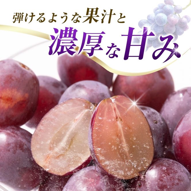 【令和8年発送 先行予約】小林市産 ピオーネ 1kg（ぶどう ブドウ ピオーネ フルーツ 果物 くだもの 先行受付 限定）【令和8年発送 先行予約】小林市産 ピオーネ 2kg（ぶどう ブドウ ピオーネ フルーツ 果物 くだもの 先行受付 限定）