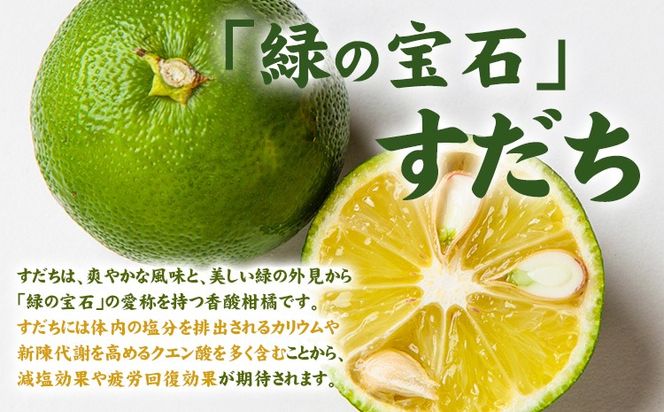 すだちワインスプリッツァー：1ケース(250ml×12本入) 《90日以内に出荷予定(土日祝除く)》 ---sanagouchi_izs_13_12hn---