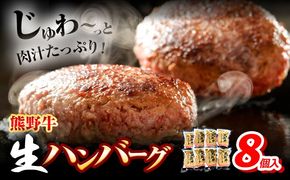 牛肉 熊野牛 生ハンバーグ 8個入り 株式会社Meat Factory《30日以内に出荷予定(土日祝除く)》和歌山県 日高川町 熊野牛 黒毛和牛 ハンバーグ 惣菜 生 送料無料---wshg_fmfy42_30d_24_16000_8k---