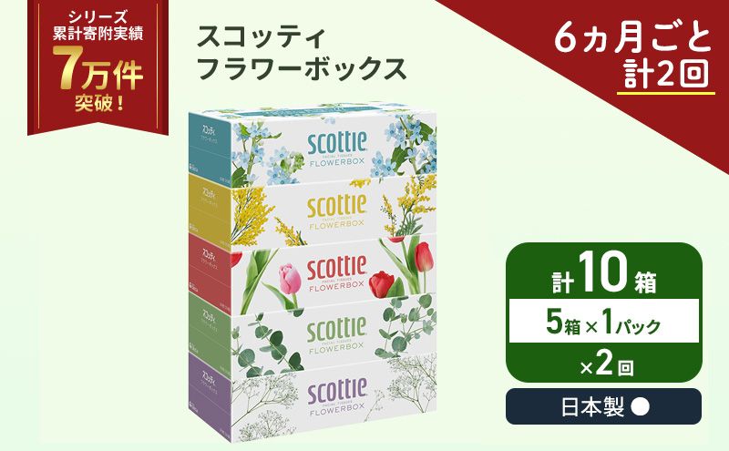 定期便 ティッシュ スコッティ フラワーボックス 5箱 × 1パック[ 6ヶ月ごと計 2回 ]