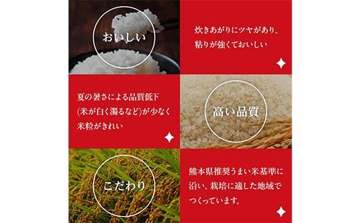 FK7-0275_【6カ月定期】【嘉島町産】くまさんの輝き 10kg 米 お米 コメ ごはん ご飯 食品 九州 熊本県 熊本 嘉島