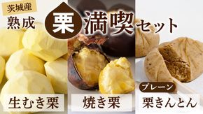 【 吉原農場 の 完熟栗 】熟成 栗 満喫 セット ( 栗の深雫 プレーン 6個入り ) 令和7年産 栗の深雫 完熟 生むき栗 焼き栗 栗きんとん プレーン くり クリ 栗ごはん おかし お菓子 果物 フルーツ 数量限定 旬 秋 冬 正月 おせち  [CX026ci] 
