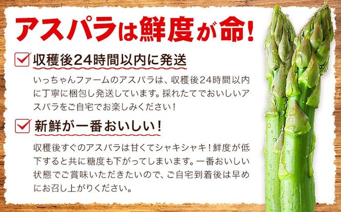 アスパラガス 約600g いっちゃんファーム《選べる出荷時期》熊本県 氷川町 氷川産 野菜 アスパラガス アスパラ---sh_cichnasp_24_p23_11000_600g---