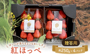 大河原町のいちご 完熟いちご 4パック 果物 フルーツ 苺 紅ほっぺ かおり みずみずしい ジューシー 期間限定 季節限定 いちご 小分け