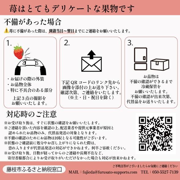 いちご きらぴ香 約1kg 約250g×4パック 朝どれ 完熟 苺 産地 直送 フレッシュ イチゴ 贈答 フルーツ 果物 国産 静岡県 藤枝市 ふるさと人気  【先行予約】 2027年3月～5月発送予定