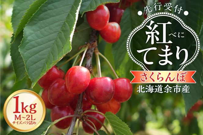 ykC]szy2026NY s\zkC]sYځugĂ܂viM`2LTCYol߁j500×2pbN_Y103-0057