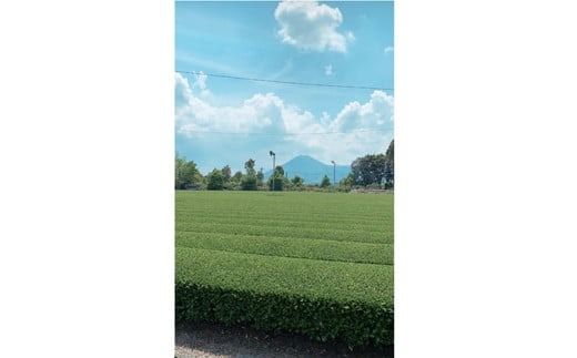 小林銘茶ギフトセット<東緑茶園>　　