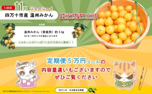 【年末限定】 5回 定期便 四万十 人気 グルメ お楽しみ定期便 しまんと ふるさと 定期便 5万円 Aコース 今だけ 年末 限定 野菜 農家 ベジタブル うなぎ ウナギ パン 冷凍パン 山食パン 魚 魚介 タタキ たたき 鰹 かつお カツオ ぶしゅかん 塩タタキ 柑橘 フルーツ みかん 温州みかん オレンジ 人気グルメ お楽しみ ごちそう 贅沢 豪華 高知 四万十市 25-613