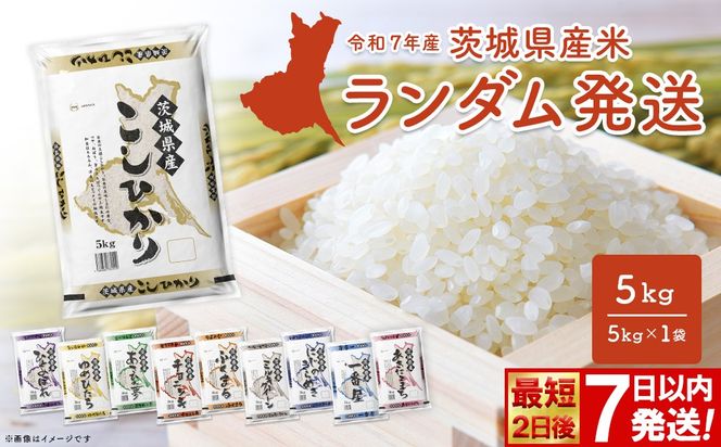◎最短2日後発送◎ ランダム 5kg 茨城県産スピード便 最速 最短 米 精米 小分け 2025年産 【令和7年産/白米】 K2464