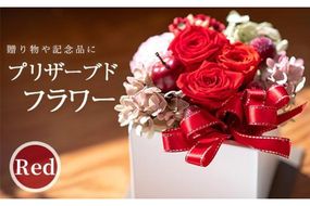 プリザーブドフラワー アレンジメント 赤 (縦16cm×横12cm×奥行12cm) 花 フラワー 贈り物 プリザーブドフラワー インテリア 大分県 佐伯市 【DZ01】【(株)花音】