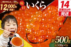 【14日以内に発送】  味付いくら 鱒卵 500g×1パック [かわむら家 宮城県 気仙沼市 20564995] いくら 海鮮 魚介類 イクラ 醤油漬け 鱒 鱒いくら