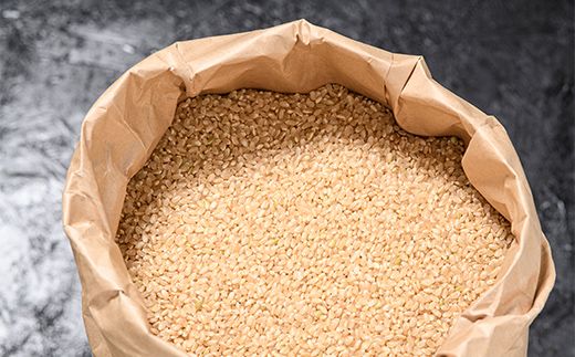 【3か月定期便】令和8年産 コシヒカリ 玄米 10kg ×3回 横山ファーム 米 富山県立山町産 こしひかり 富山県 立山町 F6T-1110