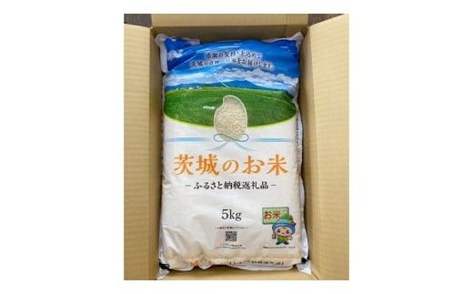 スピード発送!! 【 令和7年産 】 茨城県産 あきたこまち 15kg ( 5kg × 3袋 ) 米 お米 コメ 白米 茨城県 精米 新生活 応援 スピード配送 [DK047ci]