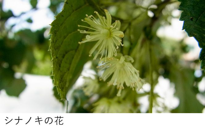 【国産純粋蜂蜜】北海道産 シナ蜂蜜 1kg パック入り［ナルセ養蜂場］【 はちみつ ハチミツ 蜂蜜 ハニー 無添加 天然 健康 美容 料理 無添加 純粋 希少 大容量 ギフト プレゼント 自宅用 家庭用 北海道 十勝 幕別 】