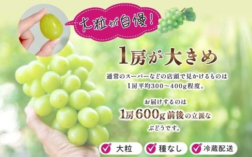 【2026年発送★先行予約】定期便全2回 桃 秀品 1.5kg 大糖領 シャインマスカット 1房 600g クール便 177-020-26y
