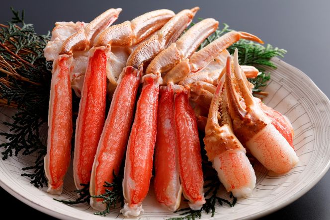 【生食可】鮮度抜群！獲れたての旨さをご自宅に！生本ズワイガニ　ハーフポーション　２肩　OD00162