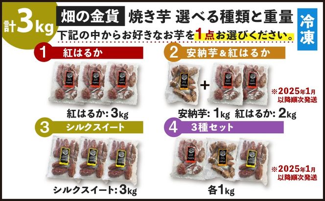 溢れかえる岸辺 Foil プロモ 4枚セット ハイローラー＆イブランの4ピースモデルだって？釣りフェス