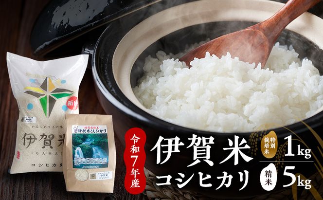 【精米】令和7年産　伊賀米コシヒカリ　5kg+特別栽培米1kg　お米 米 白米 こしひかり ごはん 三重県 名張市