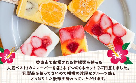 アイス 【12回定期便】手作りアイスキャンデー ６本セット Wys-0027