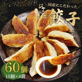 ジャンボ 餃子 60個 国産野菜 国産豚肉 冷凍 餃子 大きめ ぎょうざ ギョウザ ギョーザ おつまみ 冷凍食品 食品 惣菜 中華 惣菜 業務用 おかず ビール