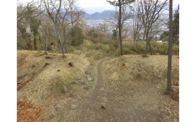 文化財専門員と行く！勝賀城ガイド見学ツアー 372013_KY007