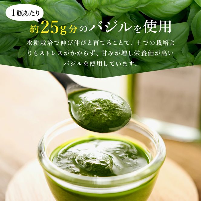 バジルソース 100ml　003HS02N.／ バジルペースト フレッシュ バジル 調味料 国産 スパイス ハーブ 料理 簡単 パスタ ピザ サラダ エキストラバージン オリーブオイル 