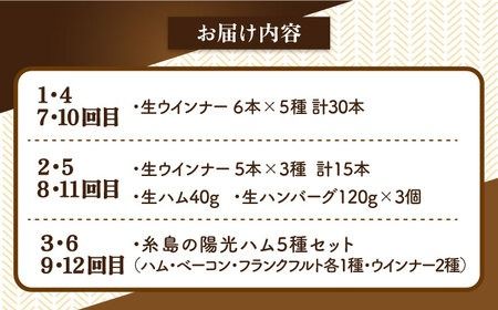 【全12回定期便】 ウインナー / ハンバーグ / ハム 月替り セット 糸島市 / 志摩スモークハウス 生ハム ベーコン [AOA040]