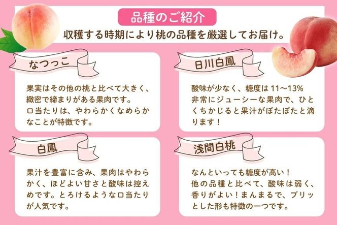 ＜25年発送先行予約＞笛吹市産　厳選！桃［2kg］（5～8玉入）フルーツ大国！山梨県笛吹市より産地直送 209-001 OUTTA REACH JAPAN