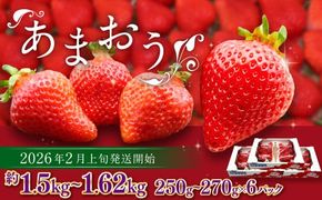 博多あまおう（春） 約250g～270g×6パック 計約1.5kg～1.62kg【2026年2月上旬-4月下旬発送予定】いちご 苺 イチゴ 果物 フルーツ