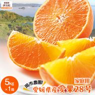 【先行予約】【数量限定】岡市農園！愛媛県産 愛果28号（家庭用） 5kg×1箱（サイズ混合）（2026年12月中旬より順次発送） IKTV005