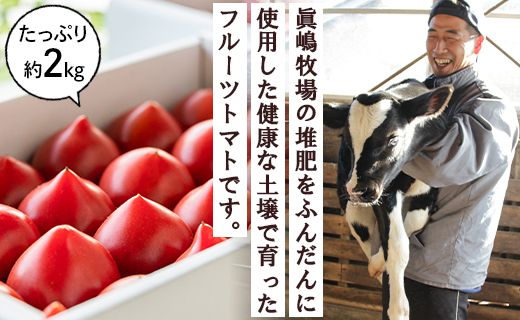 野菜ソムリエが育てた うしの恵フルーツトマト2kg mj-0028