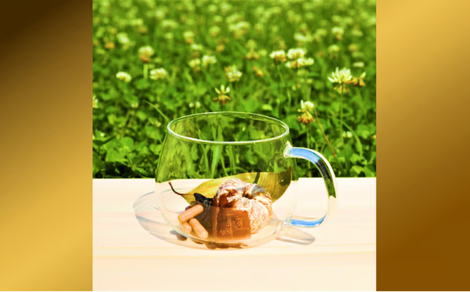 五感で沖縄を体験！フルーツティー（6袋）【琉球潤果茶】