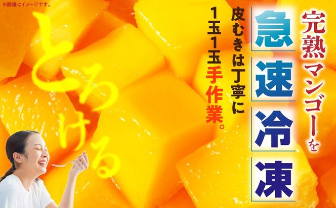 JAみやざき宮崎中央地区本部管内産 宮崎県産 冷凍マンゴー 約270g