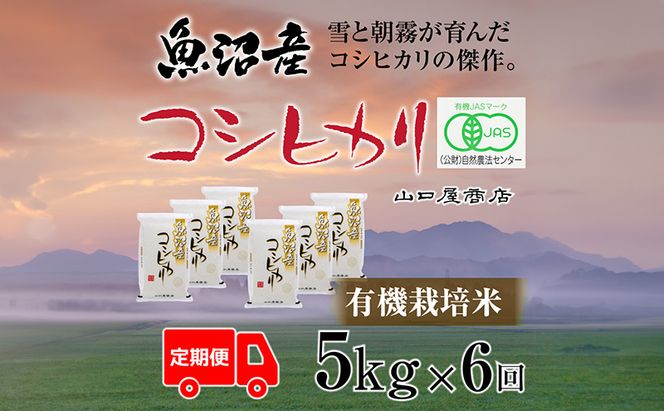 定期便 全6回 有機栽培米 魚沼産コシヒカリ 5kg お米 コメ 