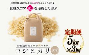 令和8年度　新米 【3回定期】特別栽培米 コシヒカリ ヒロシノキモチ 玄米 5kg 総計15kg 陽咲玲 米 お米 コメ ご飯 ごはん 富山県産 富山県 立山町 F6T-1043