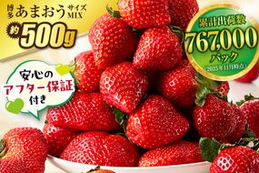 【先行予約】【アフター保証】 「博多あまおう」約250g×2パック【2月上旬～3月発送】【JAほたるの里】_HA1937 ふるさと 納税 果物 フルーツ 甘い イチゴ 苺 あまおう デザート 旬 手土産 プレゼント いちご 博多あまおう 福岡県　福岡県宗像