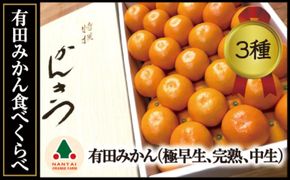 定期便 先行受付 2025年 10月発送スタート 有田みかん 食べくらべ 3種 化粧箱 特秀 各約 3kg 全3回 南泰園 BS798