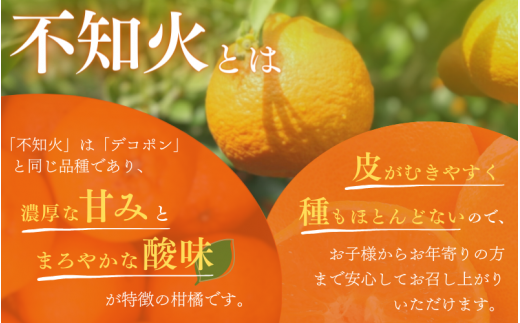 【先行予約】ご家庭用 不知火 5kg 【M～4Lのサイズおまかせ】【2027年1月下旬から2027年4月上旬頃に順次発送】＜味好農園＞/不知火 デコポン 蜜柑 みかん 柑橘 果物 フルーツ 【agy010-c-5】